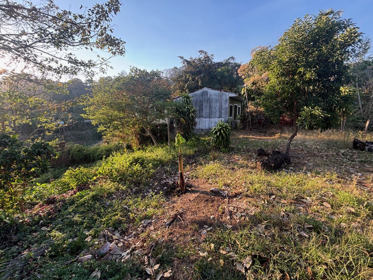 Homes for sale in Atenas Costa Rica