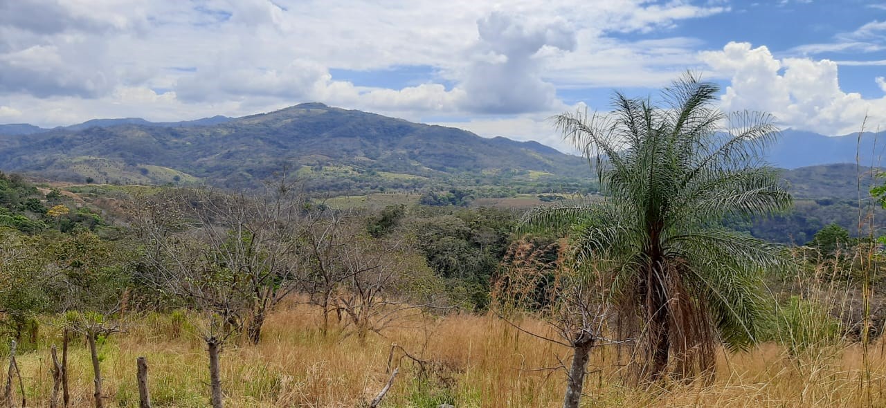 Building Lots for sale in Atenas Costa Rica