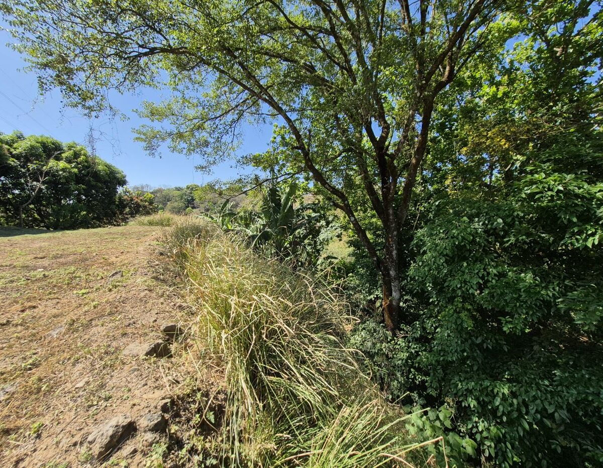 Building Lots for sale in Atenas Costa Rica