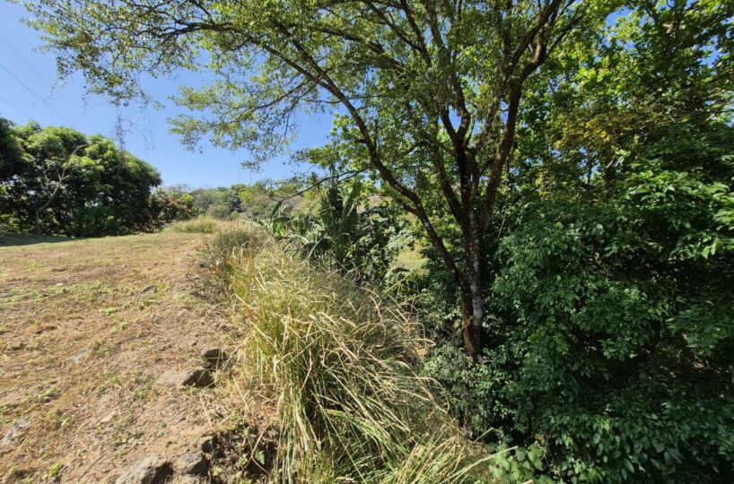 Building Lots for sale in Atenas Costa Rica