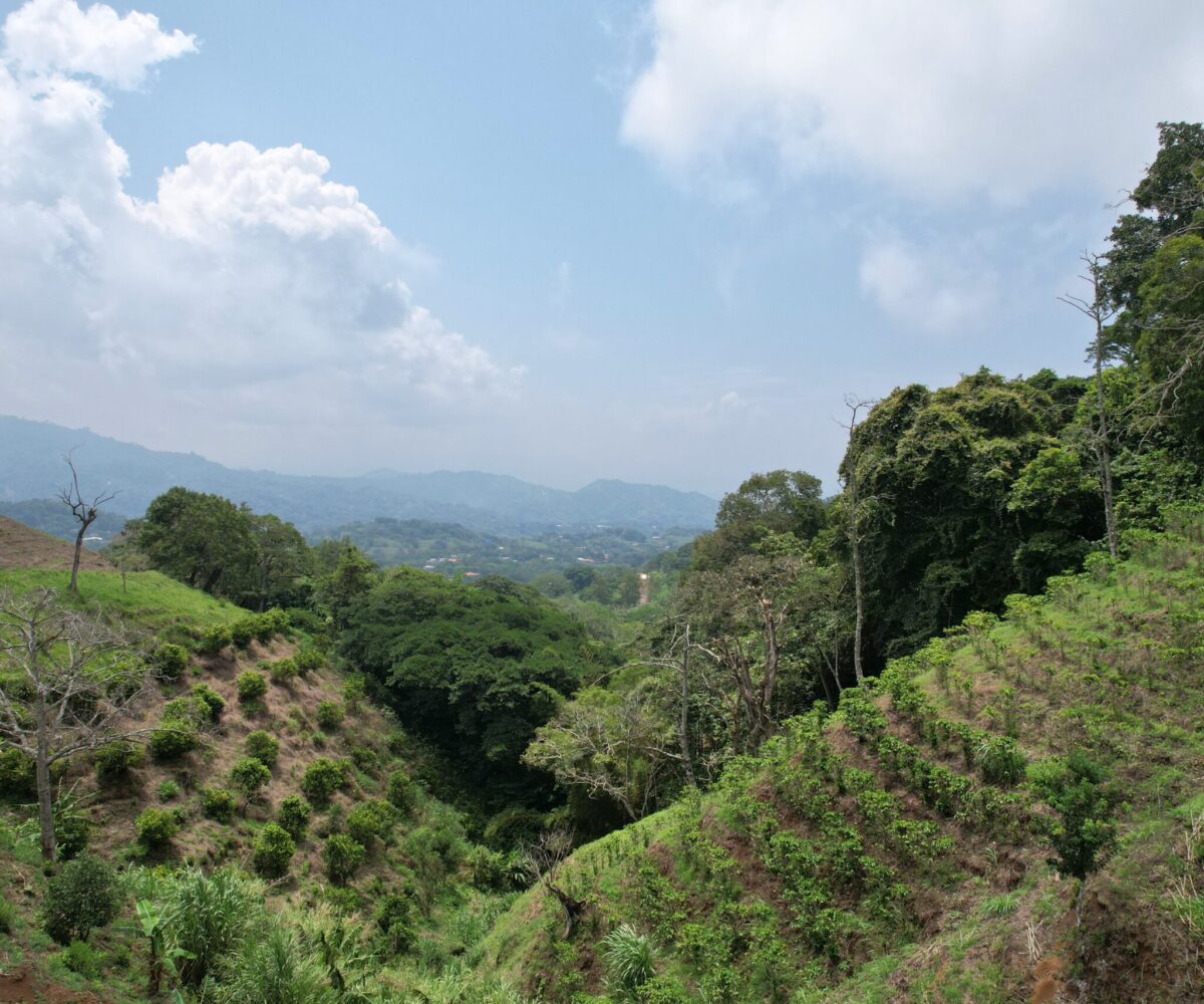 Building Lots for sale in Atenas Costa Rica