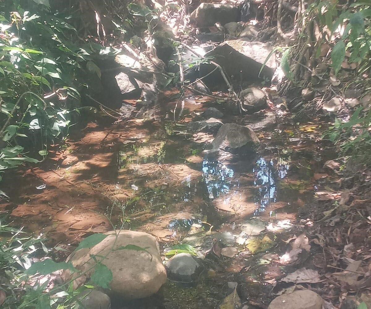 Building Lots for sale in Atenas Costa Rica