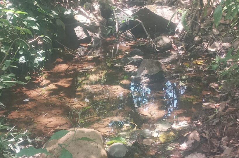 Building Lots for sale in Atenas Costa Rica