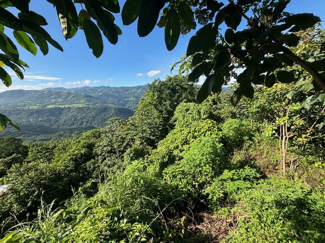 Homes for sale in Atenas Costa Rica