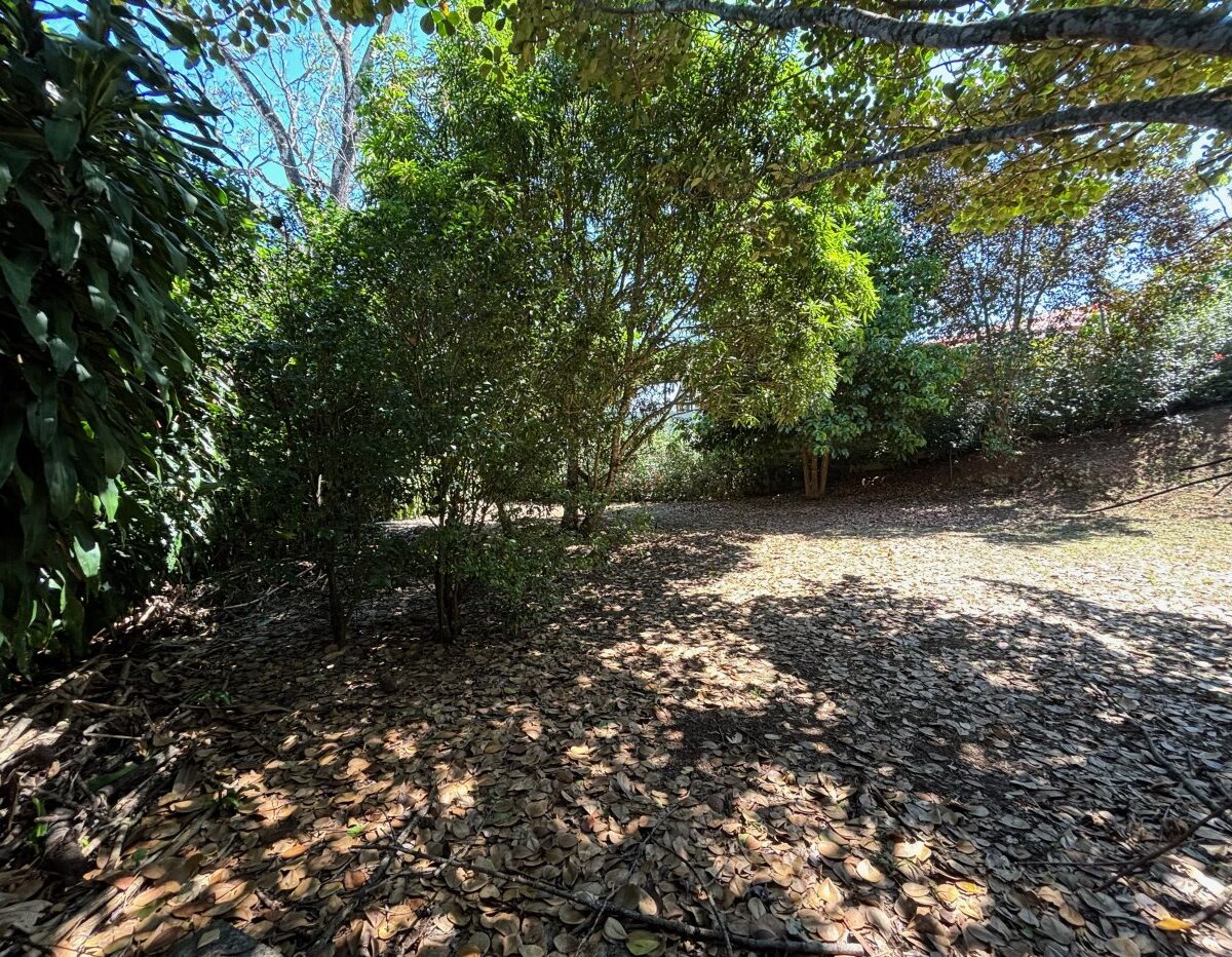 Building Lots for sale in Atenas Costa Rica