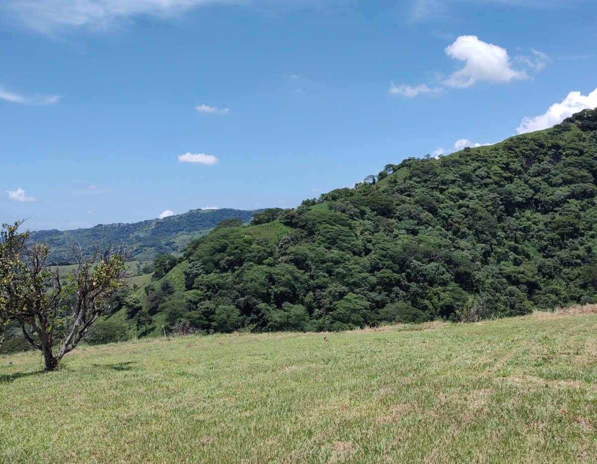 Homes for sale in Atenas Costa Rica