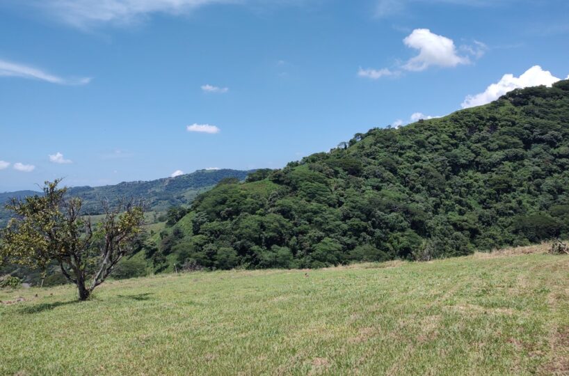 Homes for sale in Atenas Costa Rica