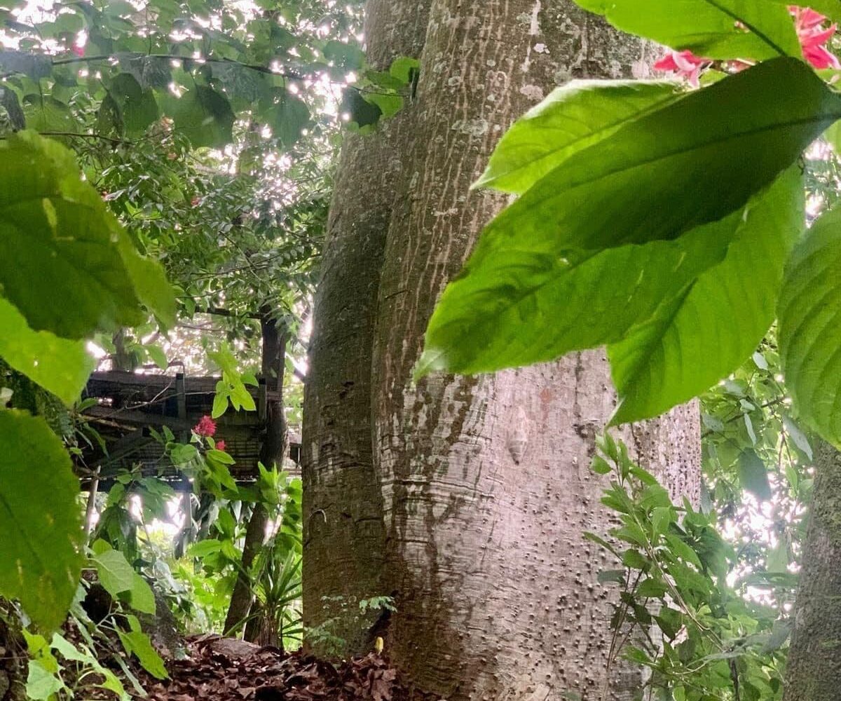 Building Lots for sale in Atenas Costa Rica