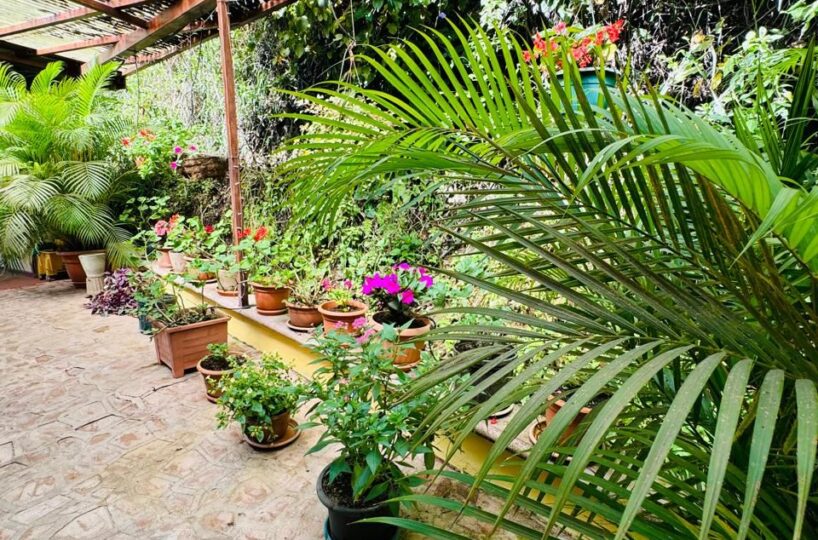 Homes for sale in Atenas Costa Rica