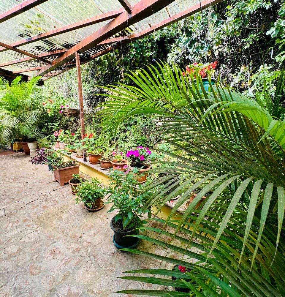 Homes for sale in Atenas Costa Rica