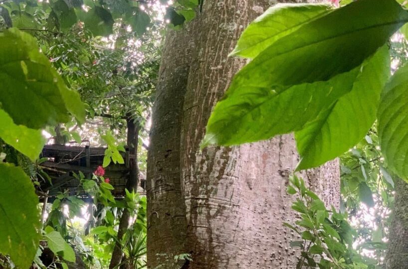 Building Lots for sale in Atenas Costa Rica