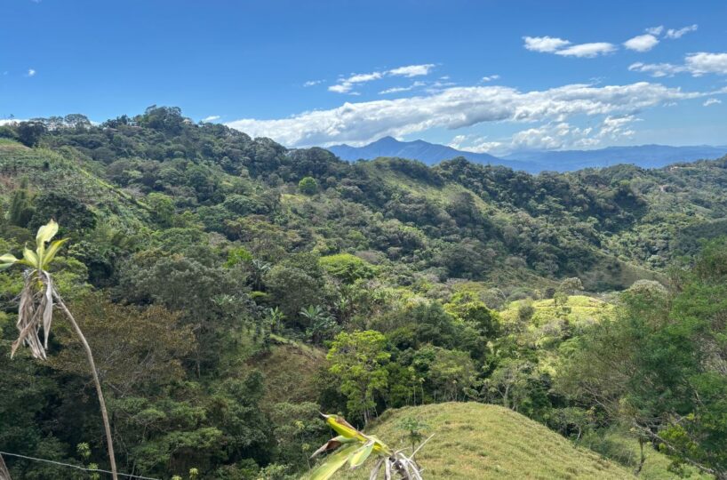 Homes for sale in Atenas Costa Rica