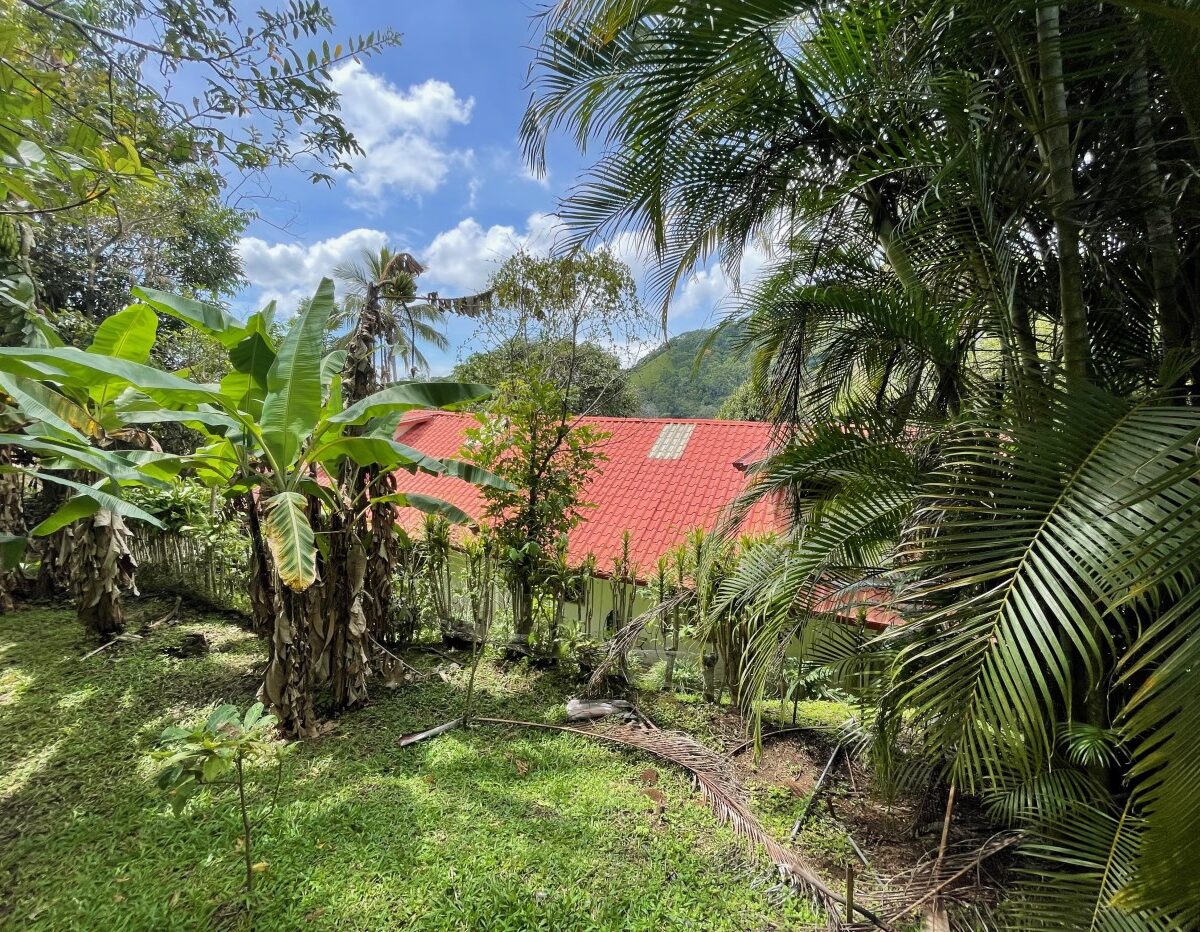 Homes for sale in Atenas Costa Rica