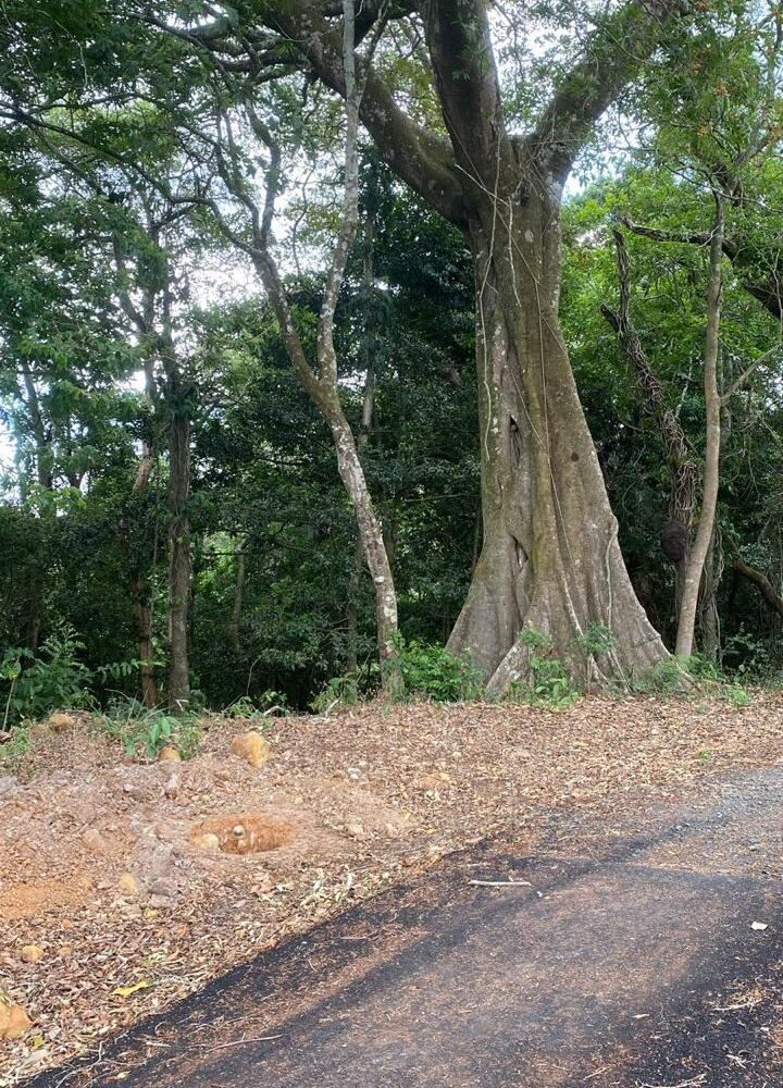 Building Lots for sale in Atenas Costa Rica