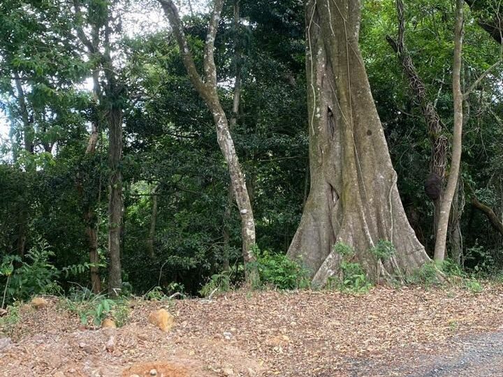 Building Lots for sale in Atenas Costa Rica