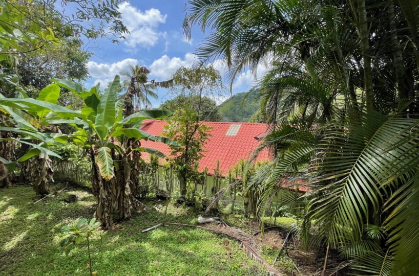 Homes for sale in Atenas Costa Rica