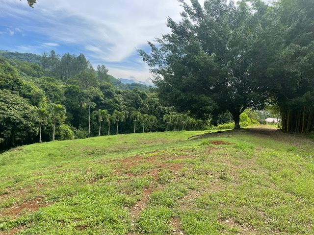 Building Lots for sale in Atenas Costa Rica