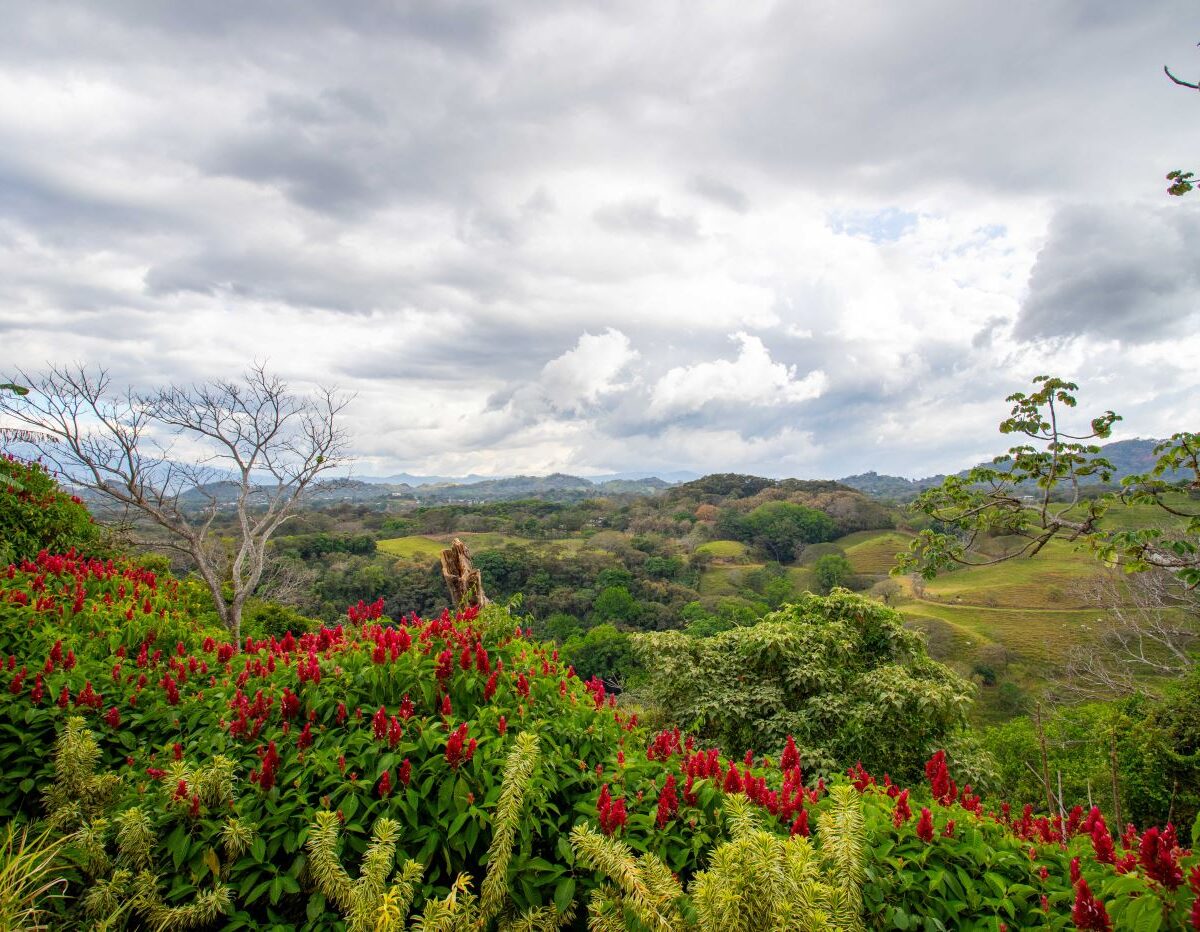 Homes for sale in Atenas Costa Rica