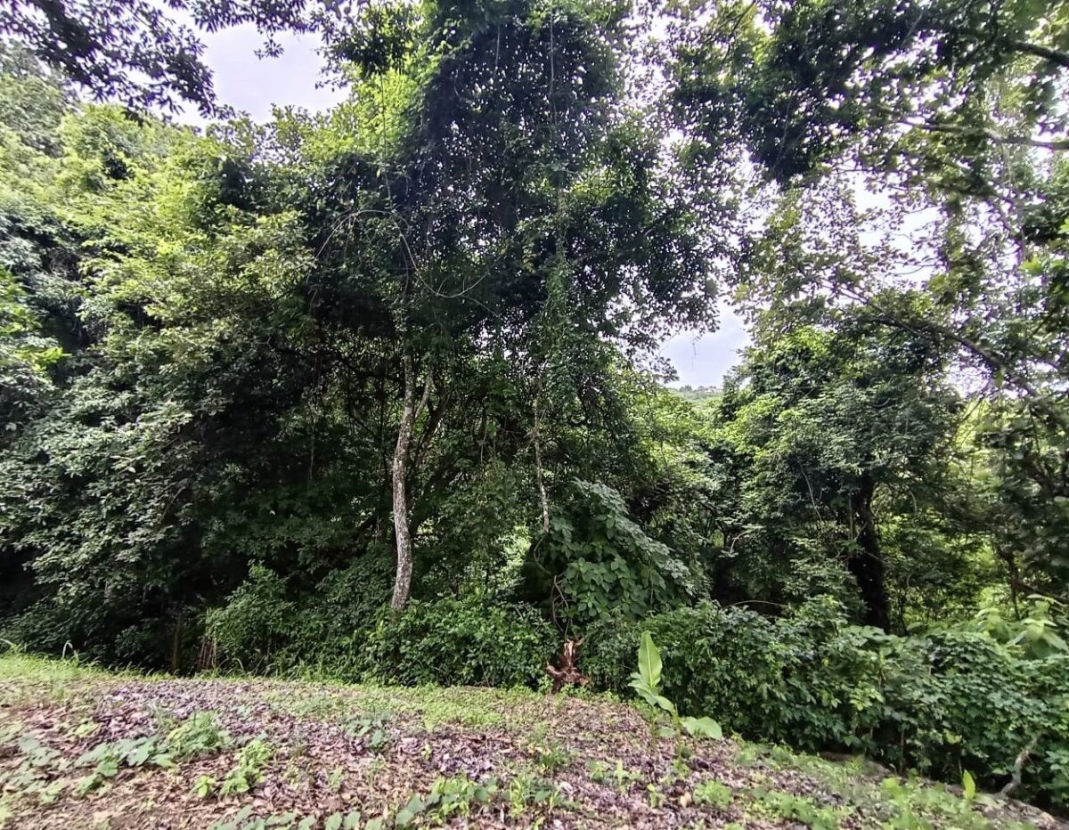 Building Lots for sale in Atenas Costa Rica