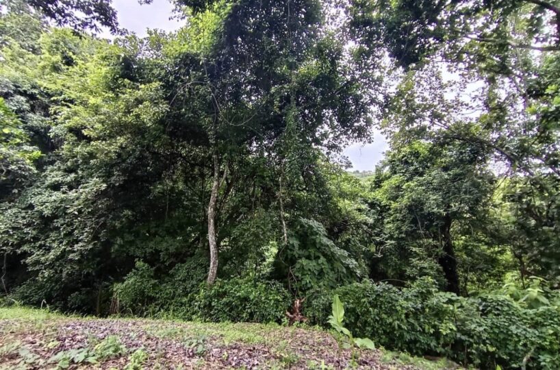 Building Lots for sale in Atenas Costa Rica