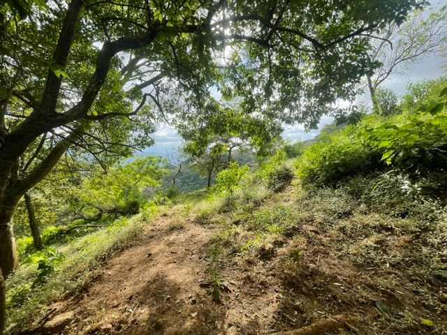 Building Lots for sale in Atenas Costa Rica