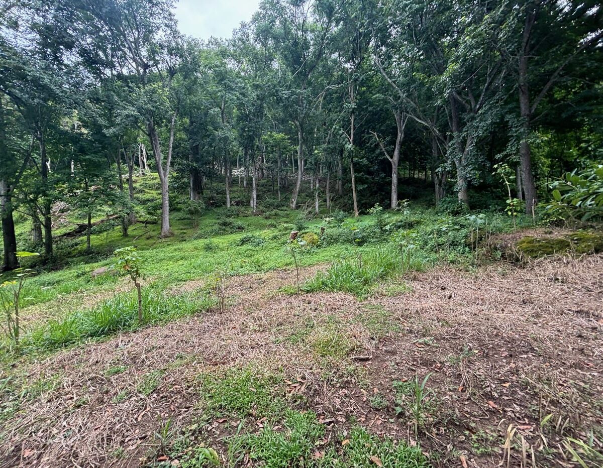 Building Lots for sale in Atenas Costa Rica