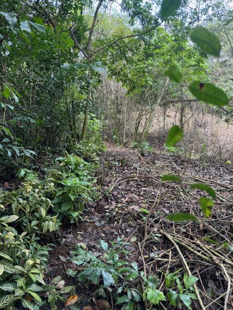 Building Lots for sale in Atenas Costa Rica