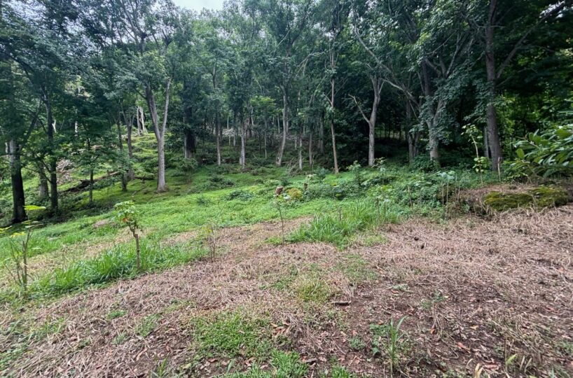 Building Lots for sale in Atenas Costa Rica