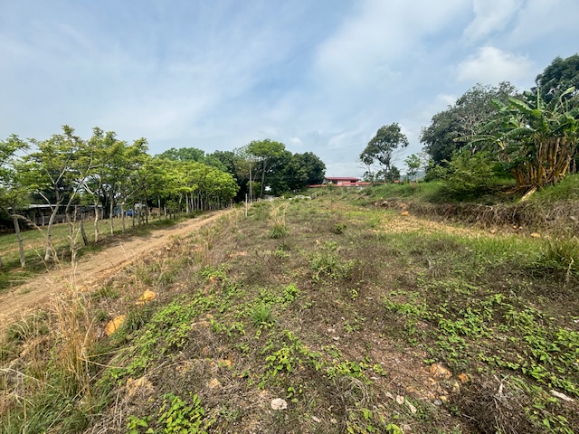 Building Lots for sale in Atenas Costa Rica