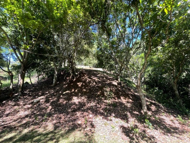Building Lots for sale in Atenas Costa Rica