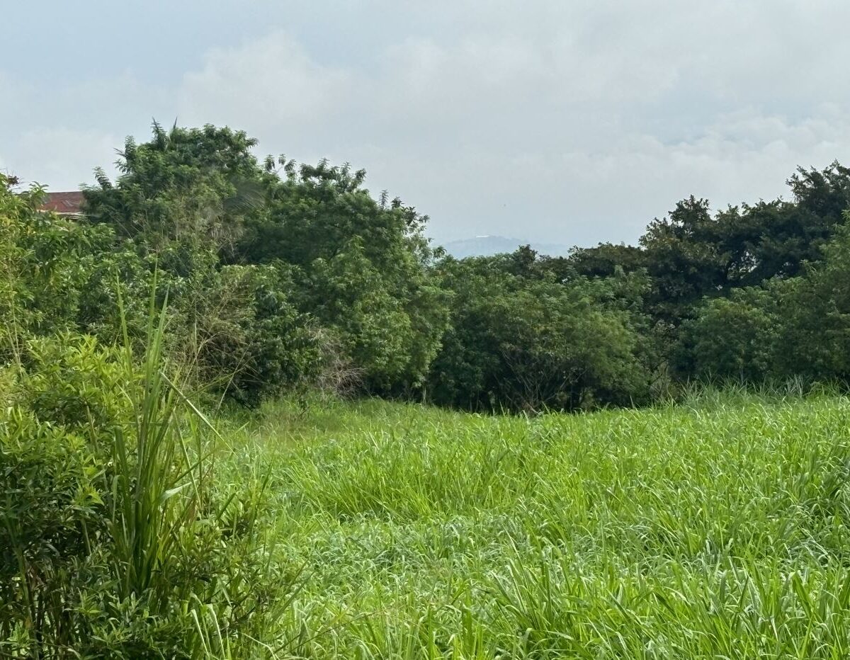 Building Lots for sale in Atenas Costa Rica