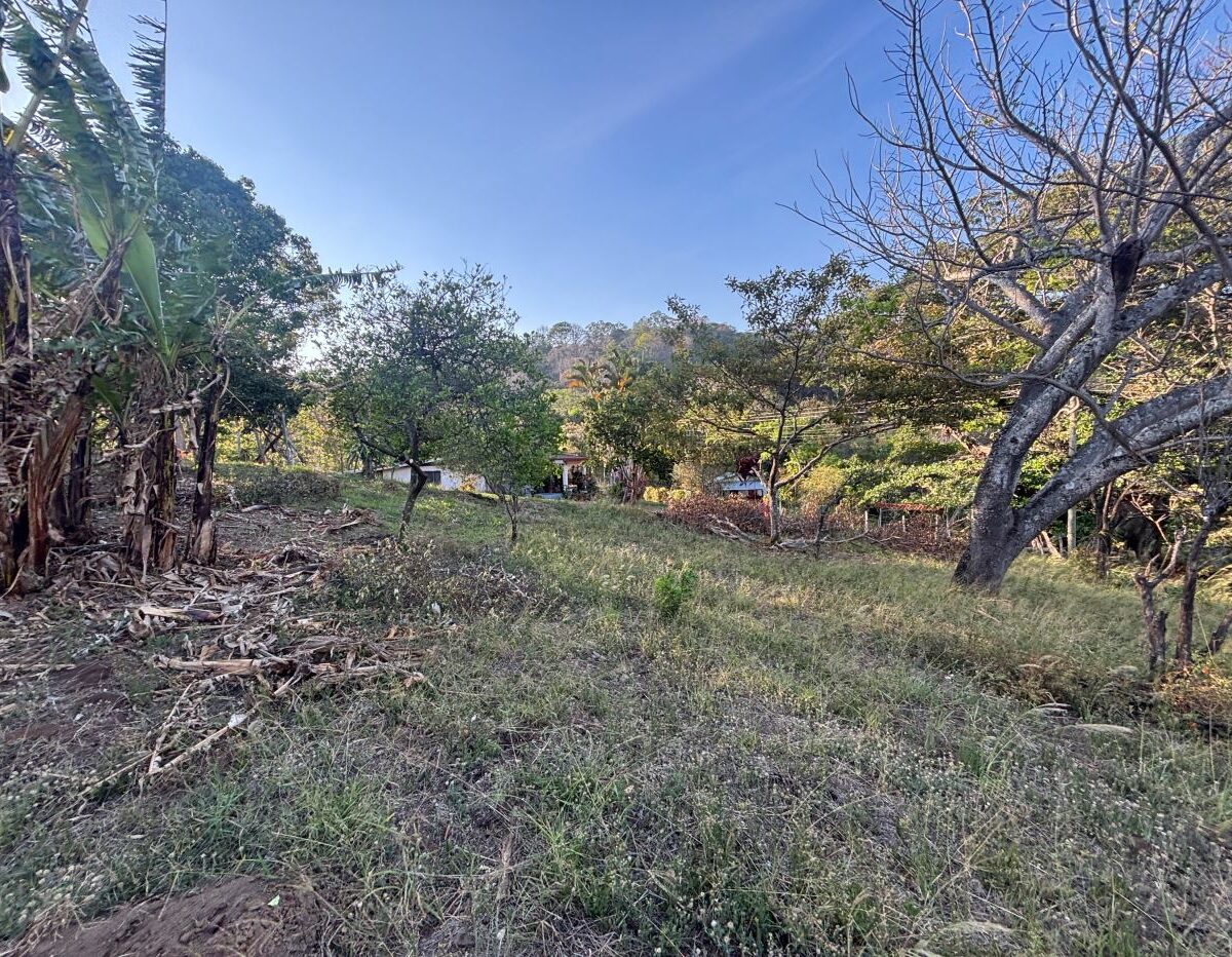 Homes for sale in Atenas Costa Rica