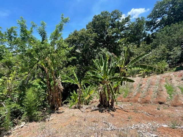 Building Lots for sale in Atenas Costa Rica