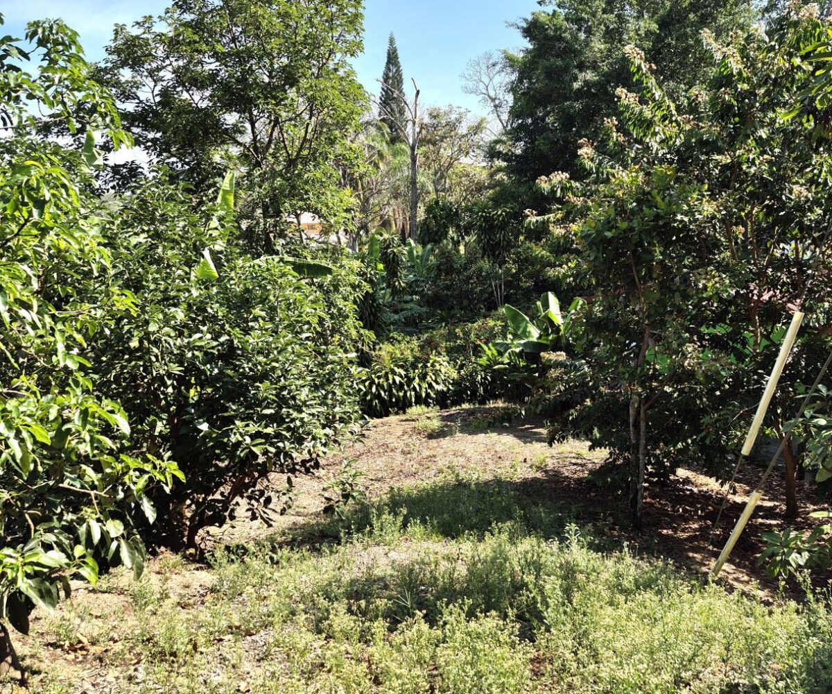 Building Lots for sale in Atenas Costa Rica