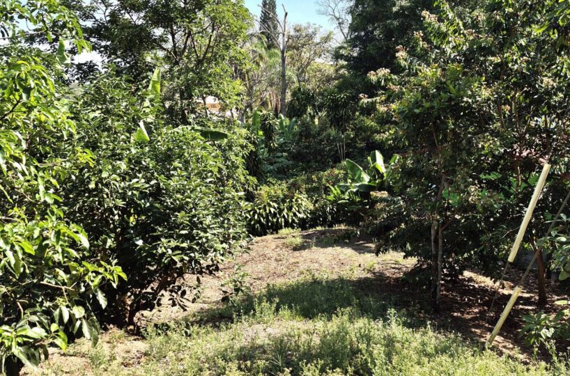 Building Lots for sale in Atenas Costa Rica
