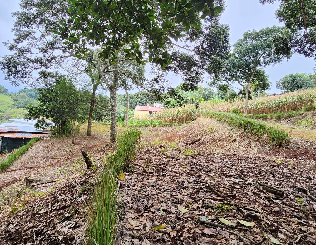 Building Lots for sale in Atenas Costa Rica