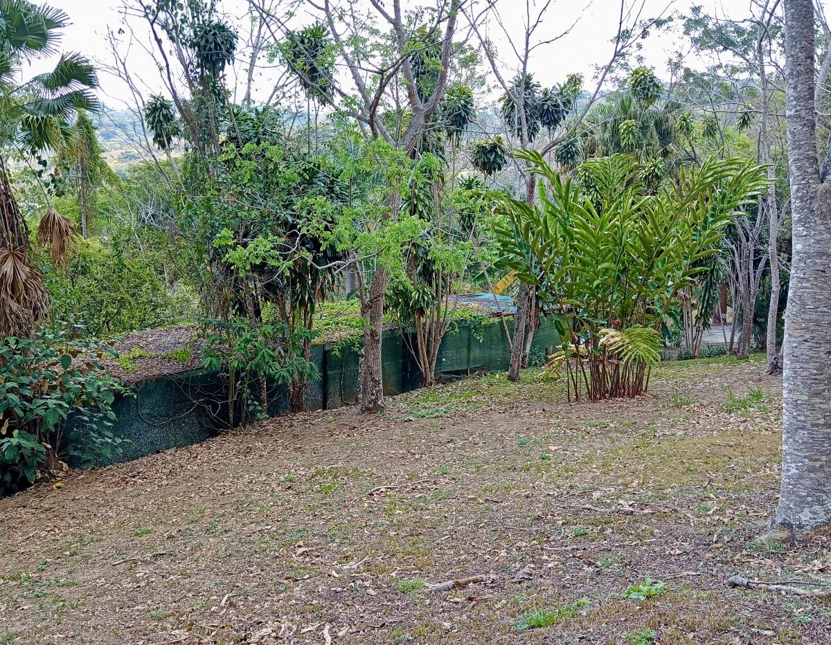 Building Lots for sale in Atenas Costa Rica