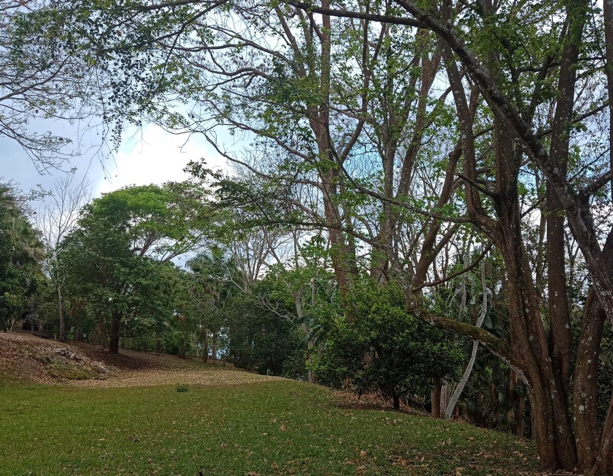 Building Lots for sale in Atenas Costa Rica