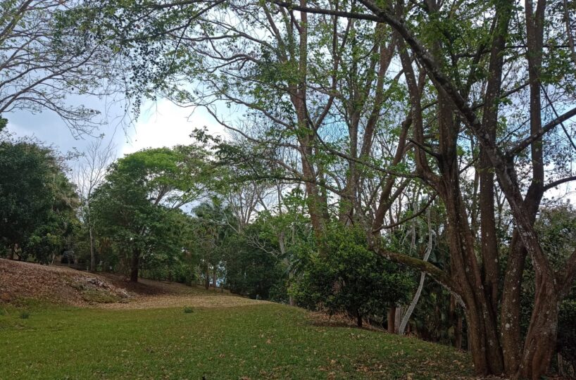 Building Lots for sale in Atenas Costa Rica