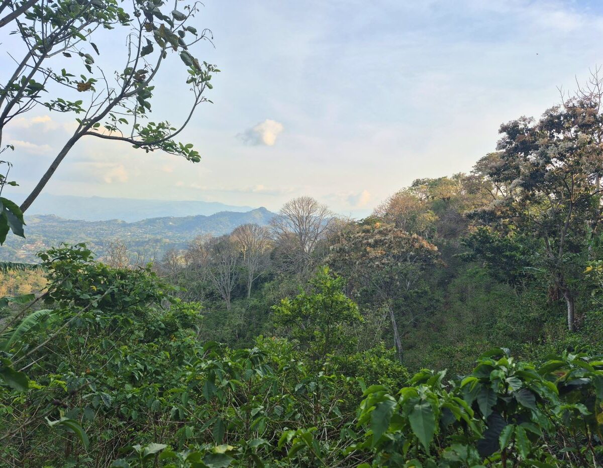 Building Lots for sale in Atenas Costa Rica