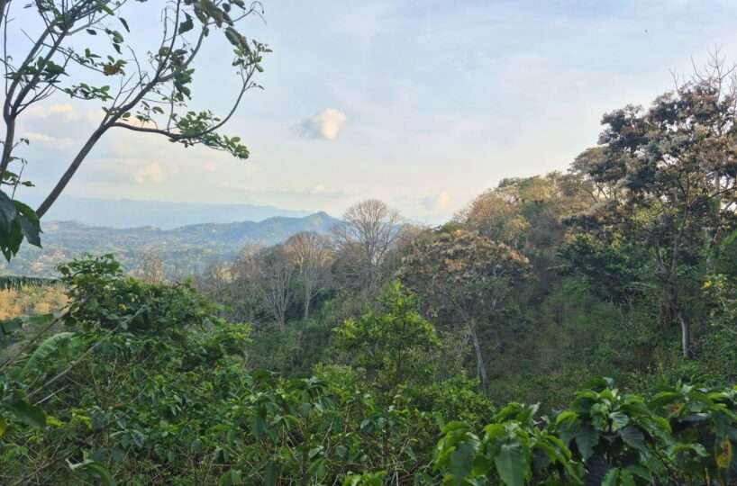 Building Lots for sale in Atenas Costa Rica