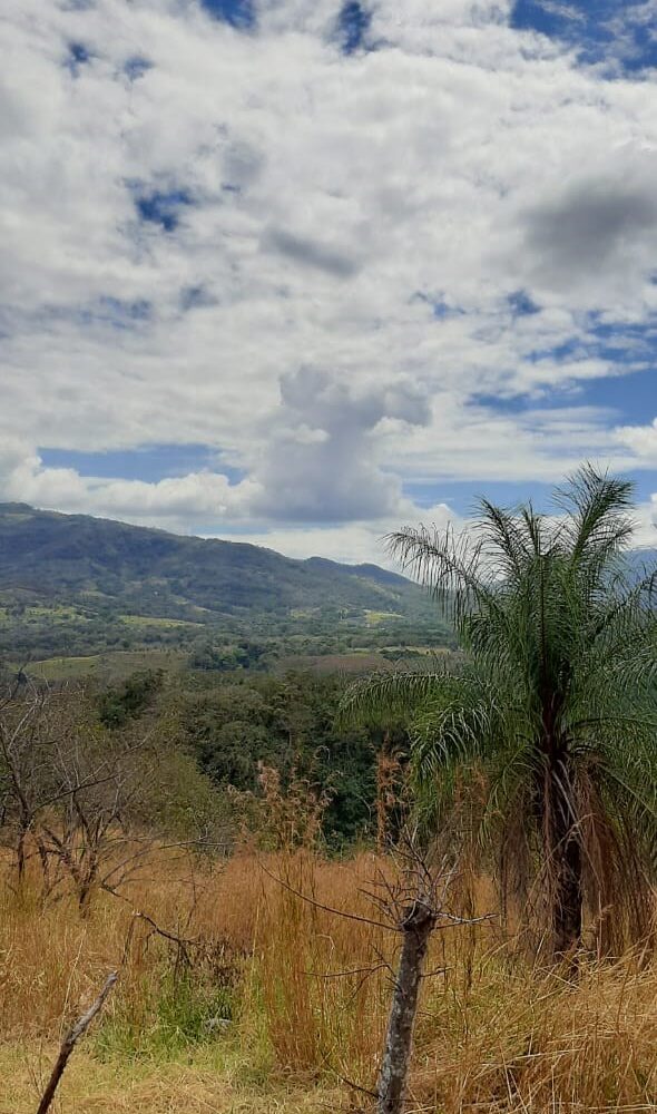 Building Lots for sale in Atenas Costa Rica