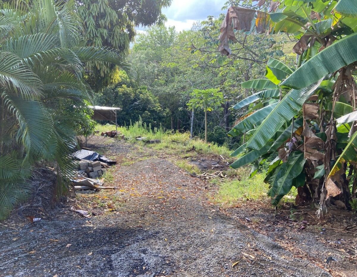 Building Lots for sale in Atenas Costa Rica