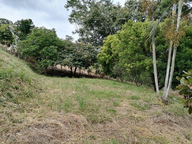 Building Lots for sale in Atenas Costa Rica