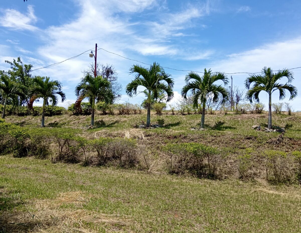 Building Lots for sale in Atenas Costa Rica
