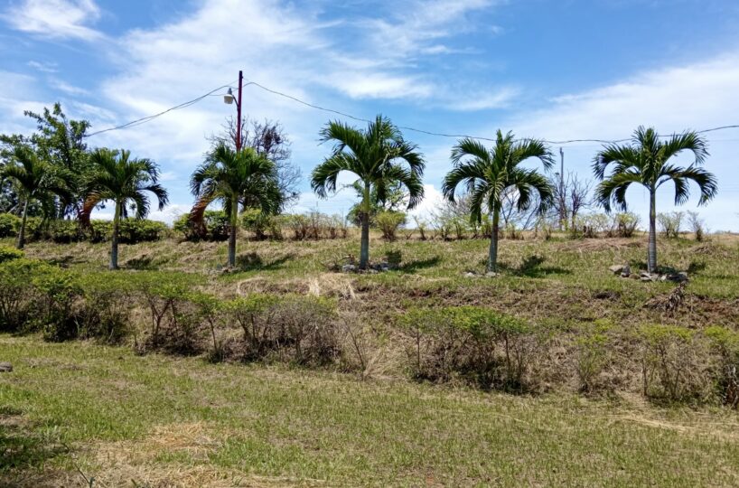 Building Lots for sale in Atenas Costa Rica
