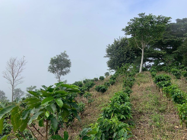 Building Lots for sale in Atenas Costa Rica