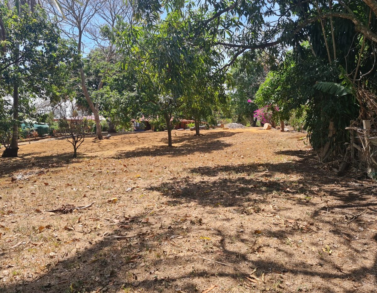 Homes for sale in Atenas Costa Rica