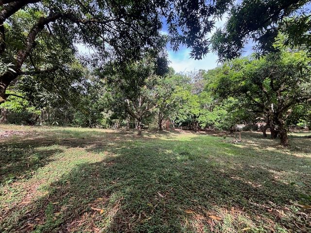 Building Lots for sale in Atenas Costa Rica