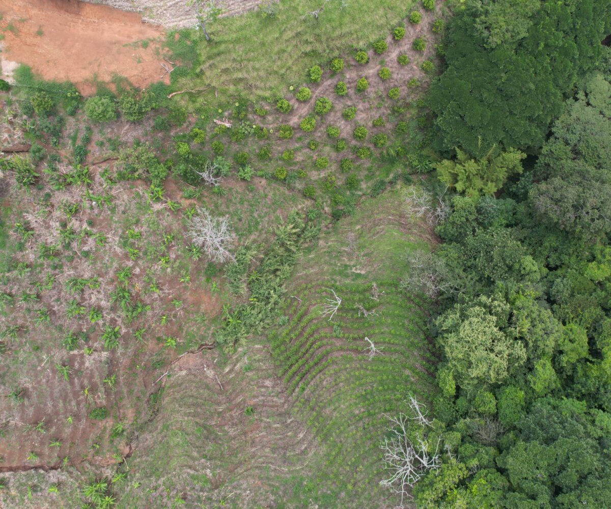 Building Lots for sale in Atenas Costa Rica